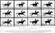 Muybridge's pictures